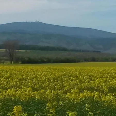 With Terrace Дом отдыха Бланкенбург
