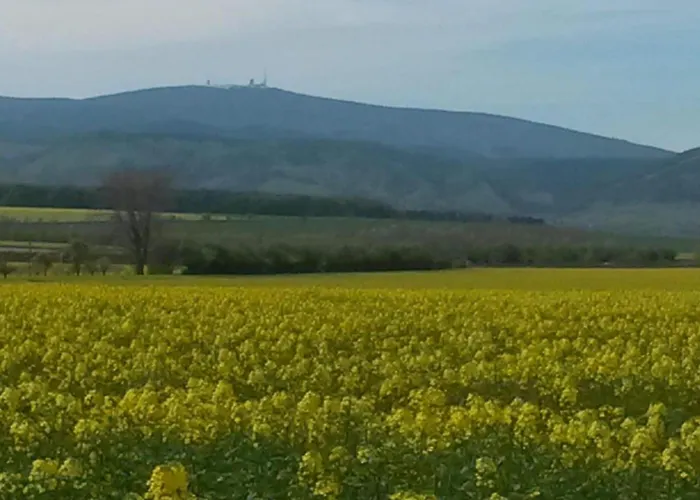 Comfort Near Castle Views 別荘 ブランケンブルク